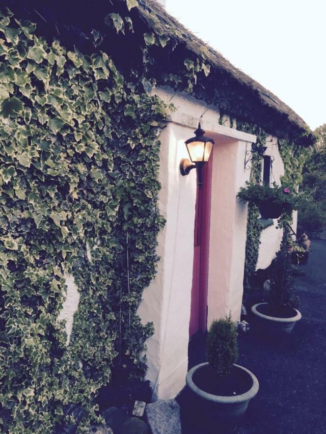 Teresas Cottage Donegal Town Dış mekan fotoğraf